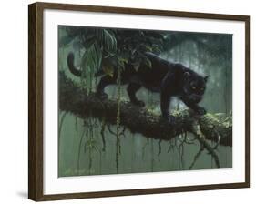 Black Jaguar-Harro Maass-Framed Giclee Print