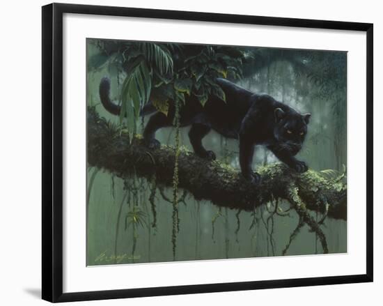 Black Jaguar-Harro Maass-Framed Giclee Print