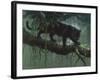 Black Jaguar-Harro Maass-Framed Giclee Print