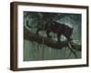 Black Jaguar-Harro Maass-Framed Giclee Print