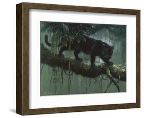 Black Jaguar-Harro Maass-Framed Giclee Print