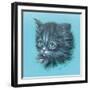 Black Kitten - 23A-Peggy Harris-Framed Giclee Print