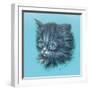 Black Kitten - 23A-Peggy Harris-Framed Giclee Print