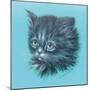 Black Kitten - 23A-Peggy Harris-Mounted Giclee Print