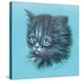 Black Kitten - 23A-Peggy Harris-Stretched Canvas