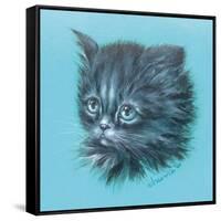 Black Kitten - 23A-Peggy Harris-Framed Stretched Canvas
