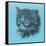 Black Kitten - 23A-Peggy Harris-Framed Stretched Canvas