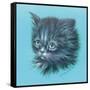 Black Kitten - 23A-Peggy Harris-Framed Stretched Canvas