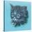 Black Kitten - 23A-Peggy Harris-Stretched Canvas