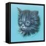 Black Kitten - 23A-Peggy Harris-Framed Stretched Canvas