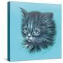 Black Kitten - 23A-Peggy Harris-Stretched Canvas