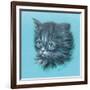 Black Kitten - 23A-Peggy Harris-Framed Giclee Print