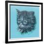 Black Kitten - 23A-Peggy Harris-Framed Giclee Print