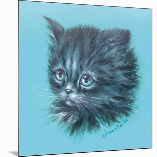 Black Kitten - 23A-Peggy Harris-Mounted Giclee Print