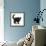 Black Kitten Buxie, 10 Weeks Old, in Defensive Witch's Cat Display-Mark Taylor-Framed Photographic Print displayed on a wall