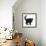 Black Kitten Buxie, 10 Weeks Old, in Defensive Witch's Cat Display-Mark Taylor-Framed Photographic Print displayed on a wall