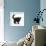 Black Kitten Buxie, 10 Weeks Old, in Defensive Witch's Cat Display-Mark Taylor-Framed Photographic Print displayed on a wall