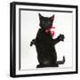 Black Kitten, Buxie, 3 Months Old, Wearing a Pink Bow-Mark Taylor-Framed Photographic Print