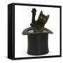 Black Kitten, Charkle, 10 Weeks, Popping Out of a Black Top Hat-Mark Taylor-Framed Stretched Canvas