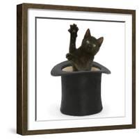 Black Kitten, Charkle, 10 Weeks, Popping Out of a Black Top Hat-Mark Taylor-Framed Photographic Print