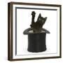 Black Kitten, Charkle, 10 Weeks, Popping Out of a Black Top Hat-Mark Taylor-Framed Photographic Print