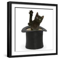 Black Kitten, Charkle, 10 Weeks, Popping Out of a Black Top Hat-Mark Taylor-Framed Photographic Print