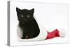 Black Kitten in a Father Christmas Hat-Mark Taylor-Stretched Canvas