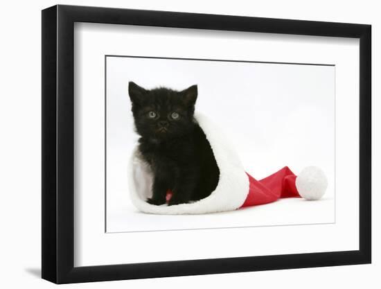 Black Kitten in a Father Christmas Hat-Mark Taylor-Framed Photographic Print