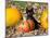 Black Kitten on Pumpkin-Lynn M^ Stone-Mounted Photographic Print