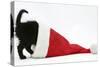 Black Kitten Playing in a Father Christmas Hat-Mark Taylor-Stretched Canvas