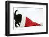 Black Kitten Playing in a Father Christmas Hat-Mark Taylor-Framed Photographic Print