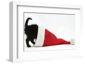 Black Kitten Playing in a Father Christmas Hat-Mark Taylor-Framed Photographic Print