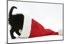 Black Kitten Playing in a Father Christmas Hat-Mark Taylor-Mounted Photographic Print