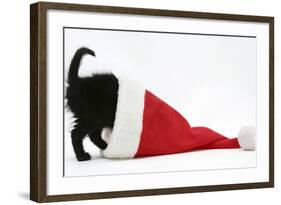 Black Kitten Playing in a Father Christmas Hat-Mark Taylor-Framed Photographic Print