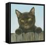 Black Kitten-Janet Pidoux-Framed Stretched Canvas