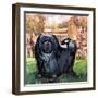 Black Knight. the Pekinese Dog Owned by Artist Sir Alfred Munnings.-McConnell-Framed Giclee Print