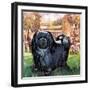 Black Knight. the Pekinese Dog Owned by Artist Sir Alfred Munnings.-McConnell-Framed Giclee Print