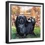 Black Knight. the Pekinese Dog Owned by Artist Sir Alfred Munnings.-McConnell-Framed Giclee Print