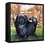 Black Knight. the Pekinese Dog Owned by Artist Sir Alfred Munnings.-McConnell-Framed Stretched Canvas