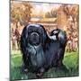 Black Knight. the Pekinese Dog Owned by Artist Sir Alfred Munnings.-McConnell-Mounted Premium Giclee Print