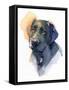 Black Lab, 2017-John Keeling-Framed Stretched Canvas