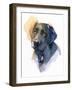 Black Lab, 2017-John Keeling-Framed Giclee Print