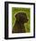 Black Lab (NEW)-John W^ Golden-Framed Art Print