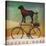 Black Lab on Bike Christmas-Ryan Fowler-Stretched Canvas