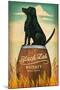 Black Lab Whiskey-Ryan Fowler-Mounted Art Print