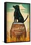 Black Lab Whiskey-Ryan Fowler-Framed Stretched Canvas