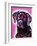 Black Lab-Dean Russo-Framed Giclee Print