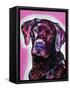 Black Lab-Dean Russo-Framed Stretched Canvas