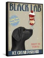 Black Labrador Ice Cream-Fab Funky-Framed Stretched Canvas