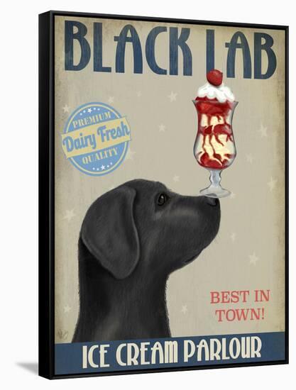 Black Labrador Ice Cream-Fab Funky-Framed Stretched Canvas